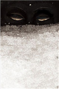 见雪如面